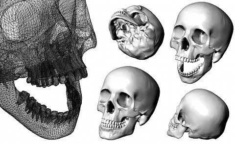 <Без названия>